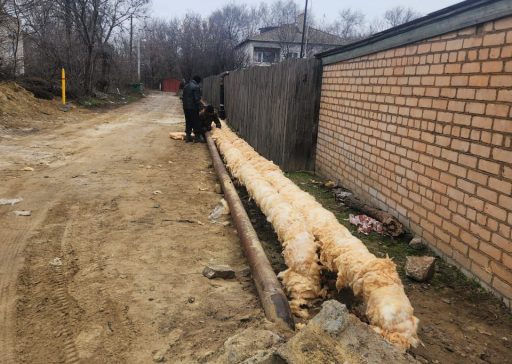 photo_5343638086388223035_y